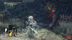 dks3 irina location