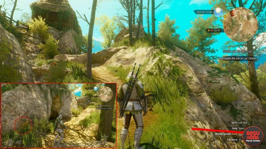 brown armor dye formula witcher 3