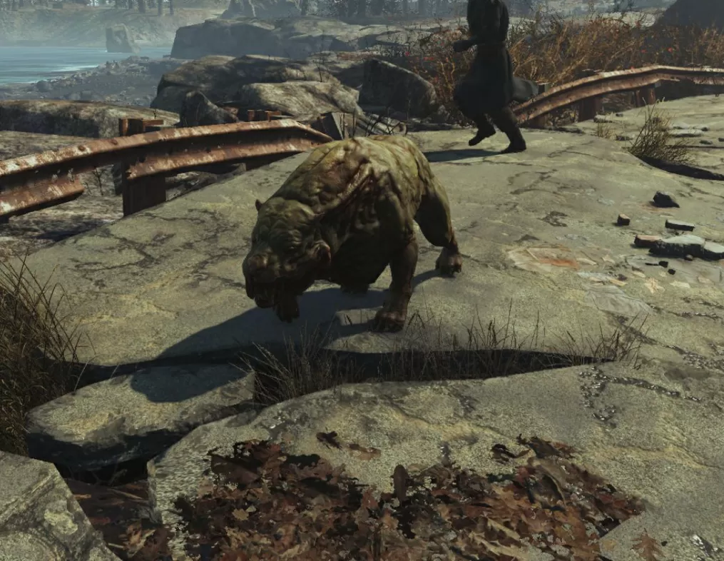 fallout 4 gracie companion far harbor