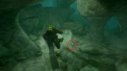 uncharted 4 shark statue location