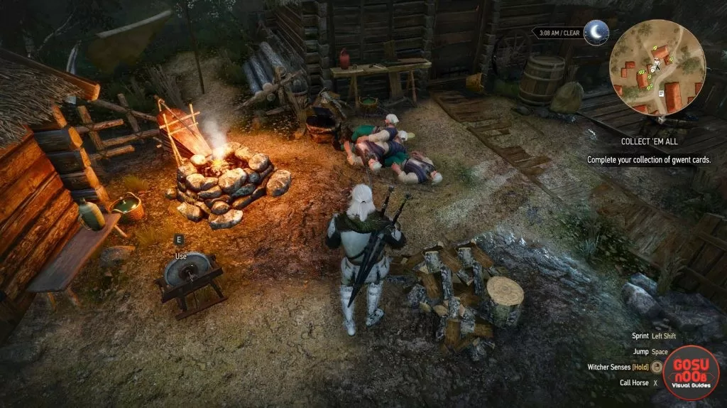 beehive glitch witcher 3