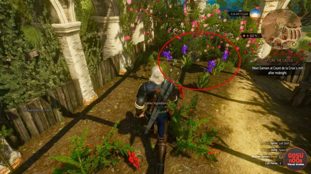 blue lotus flower witcher 3