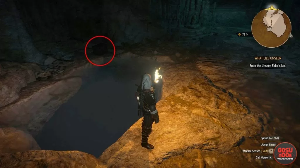 hen gaidth armor location