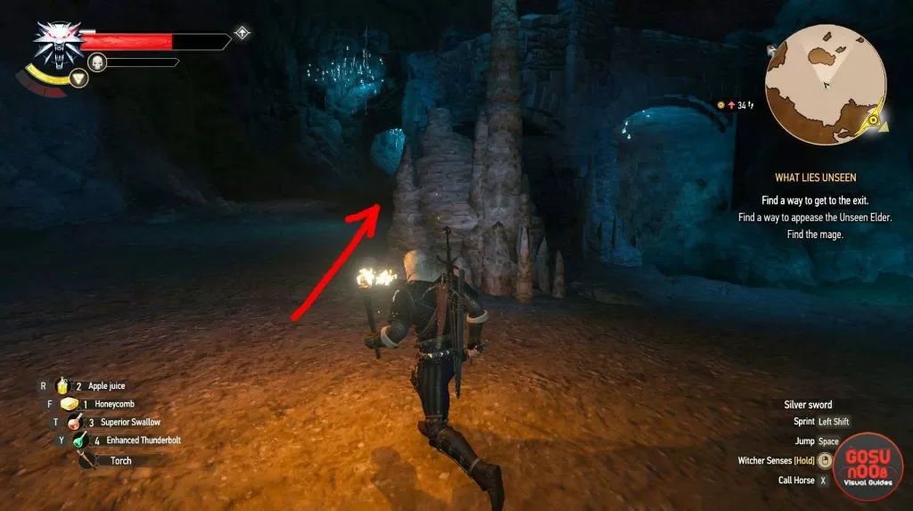 hen gaidth mask location