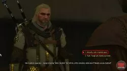 how to get aerondight witcher 3