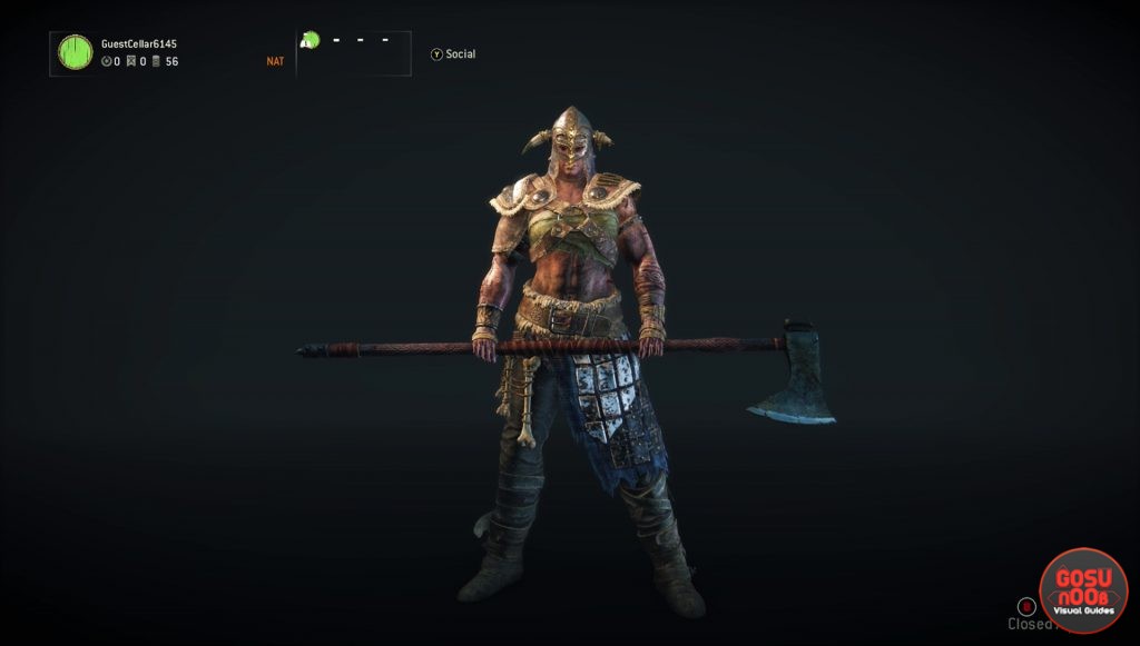 for honor raider