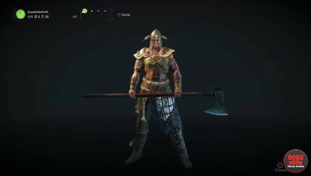 for honor raider