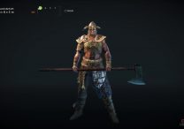 for honor raider