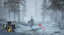 dark souls 3 woods