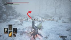 Captain's Ashes Location Dark Souls 3 Ashes of Ariandel