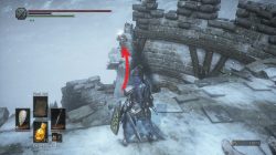 Captain's Ashes Location DLC Ashes of Ariandel Dark Souls 3