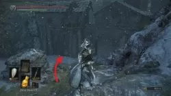 Corvian Settlement Ashes of Ariandel Dark Souls 3 DLC