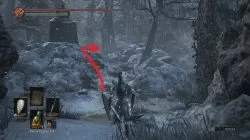 Earth Seeker Location Dark Souls 3 Ashes of Ariandel DLC