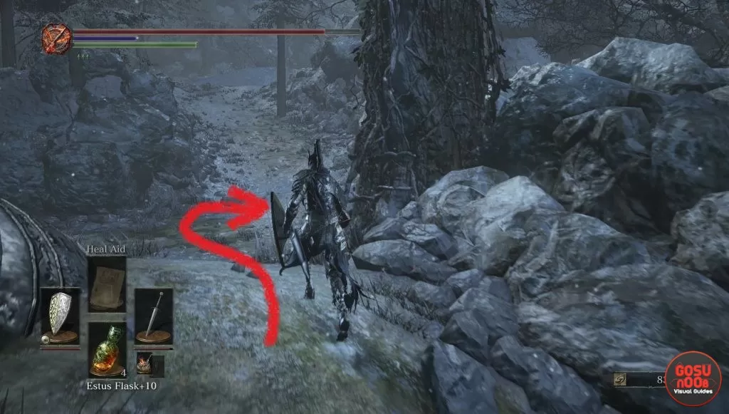 Earth Seeker Location DS 3 Ashes of Ariandel