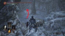 Earth Seeker Location DS 3 Ashes of Ariandel DLC