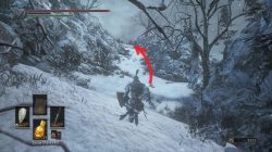Follower Javelin Location DS 3 Ashes of Ariandel