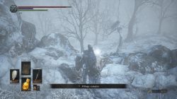 Follower Javelin Location DS 3 DLC Ashes of Ariandel