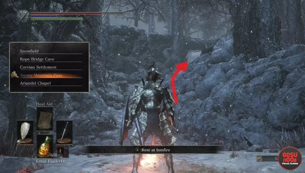 Follower Torch Location Ashes of Ariandel Dark Souls 3