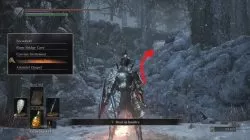 Follower Torch Location Ashes of Ariandel Dark Souls 3