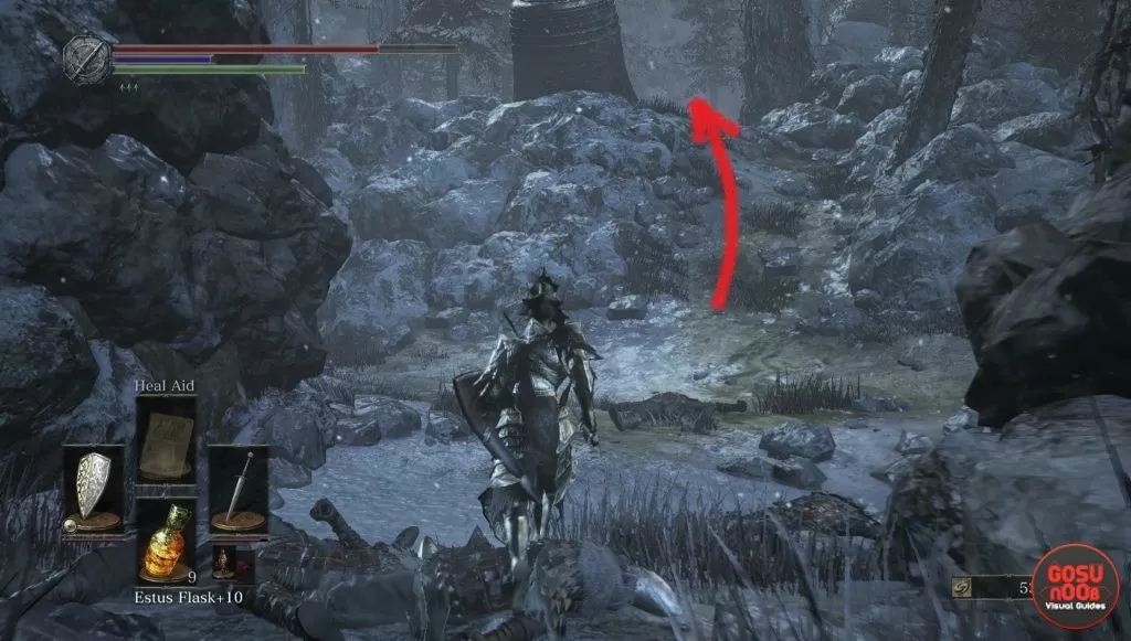 Follower Torch Location Ashes of Ariandel Dark Souls 3 DLC