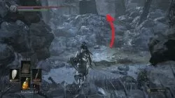 Follower Torch Location Ashes of Ariandel Dark Souls 3 DLC