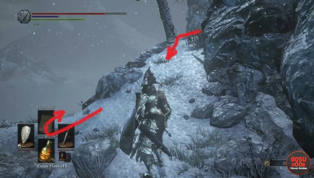 Follower Torch Location DLC Ashes of Ariandel Dark Souls 3
