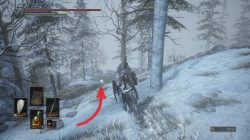 Millwood Greatbow Location DS 3 DLC Ashes of Ariandel