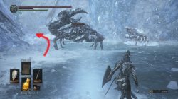Snap Freeze Location Dark Souls 3 Ashes of Ariandel