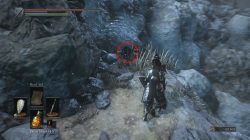 ashes of ariandel dlc new shield location
