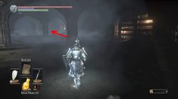 ashes of ariandel new armor with cape