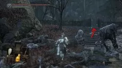 ashes of ariandel onyx sword