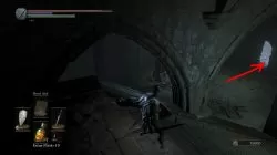 ashes of ariandel priscilla secret area