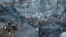 ashes of ariandel secret areas