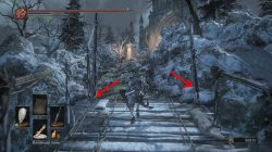 ashes of ariandel where to find second boss