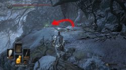 dark souls 3 ashes of ariandel follower curved sword