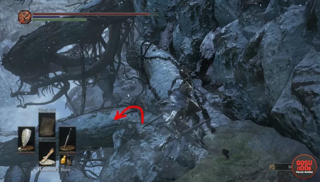 dark souls 3 dlc hidden areas