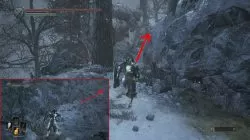 dks3 ashes of ariandel shortcut