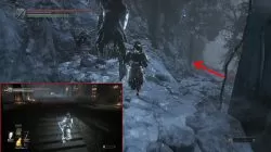 dks3 bloodfly crypt shortcut