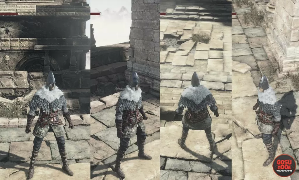 follower armor set ashes of ariandel