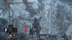 how to get to gravetender boss ashes of ariandel