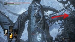new ashes of ariandel weapons follower sword