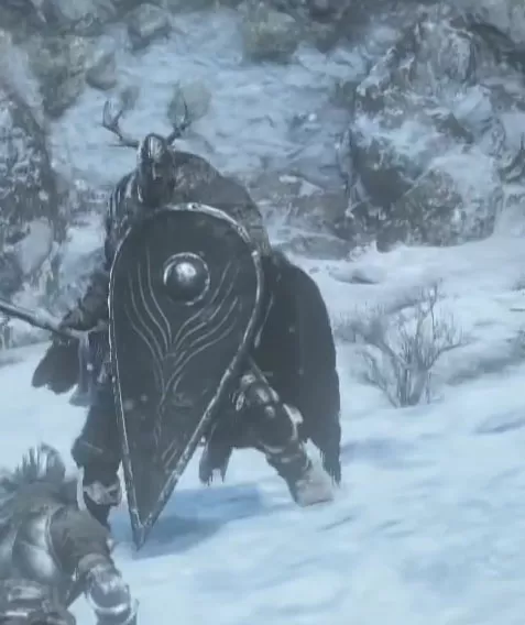 tear drop shield dks3 ariandel