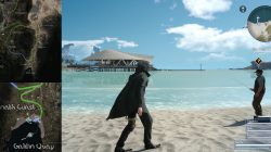Angler's Nightmare Fishing Quest FFXV