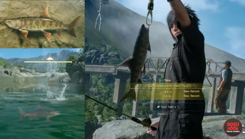 Cherrycomb Trout Fish Location FFXV