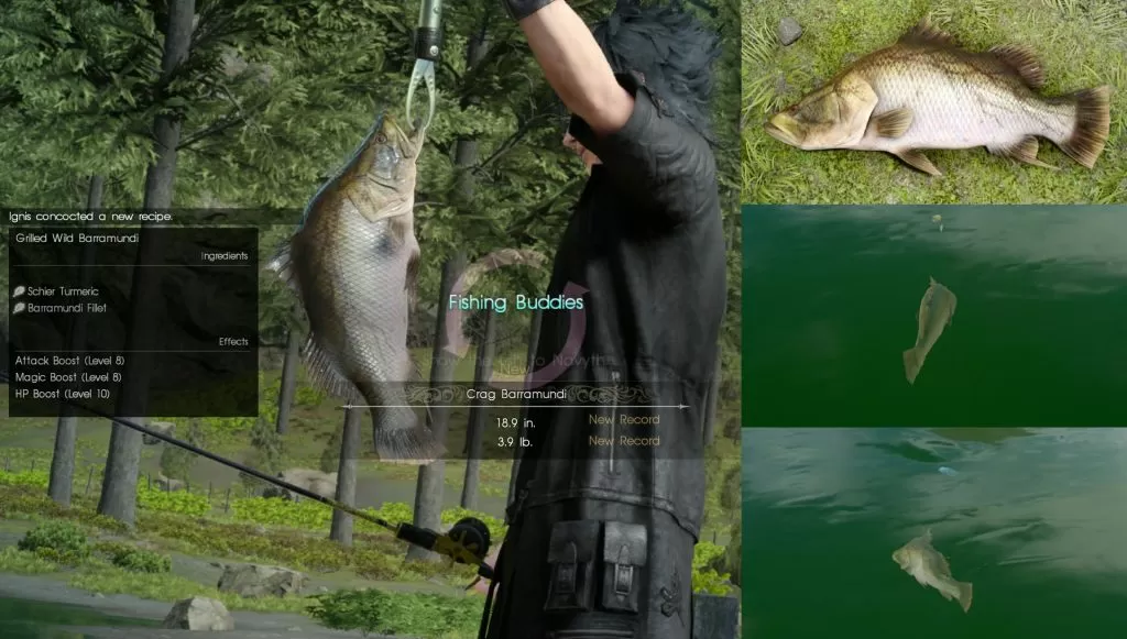 Crag Barramundi Fish FFXV