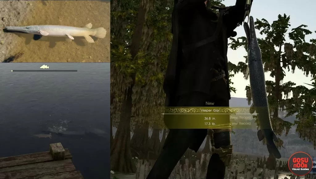 Vesper Gar Fish Location FFXV