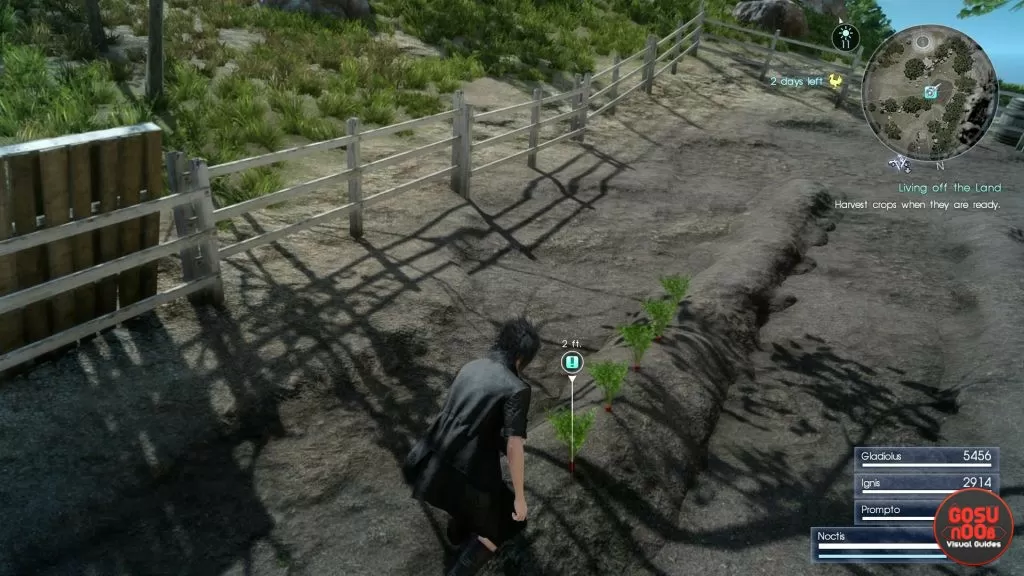 ffxv berried memories quest