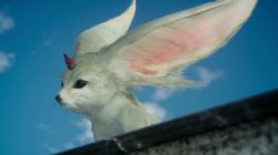 ffxv summons carbuncle