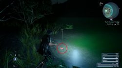 red frog location side quest ffxv