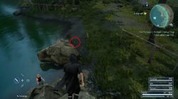 where to find yellow frogs ffxv